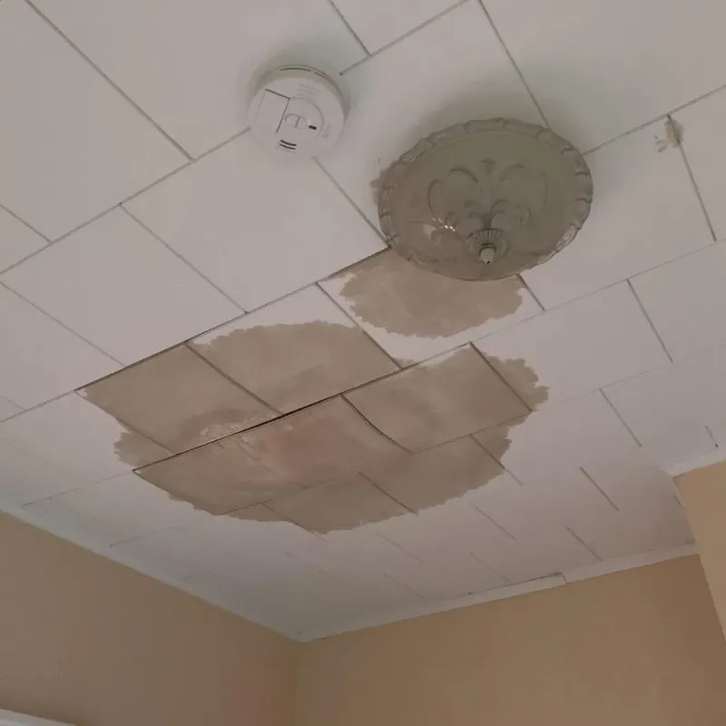 Ceiling Water Damage Repair in Assumption Parish, LA
