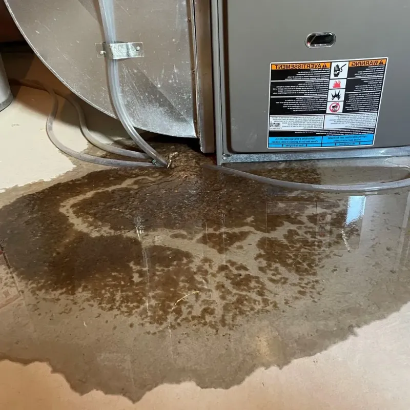 Pipe Burst and Leak Restoration in Assumption Parish, LA